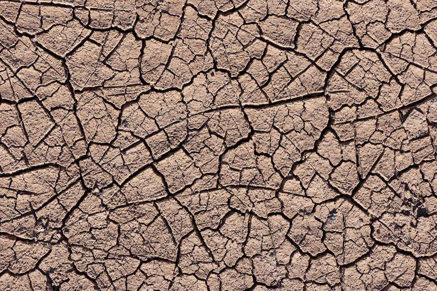 Close-up of dry, cracked clay soil — expansive soil that swells and shrinks with moisture changes